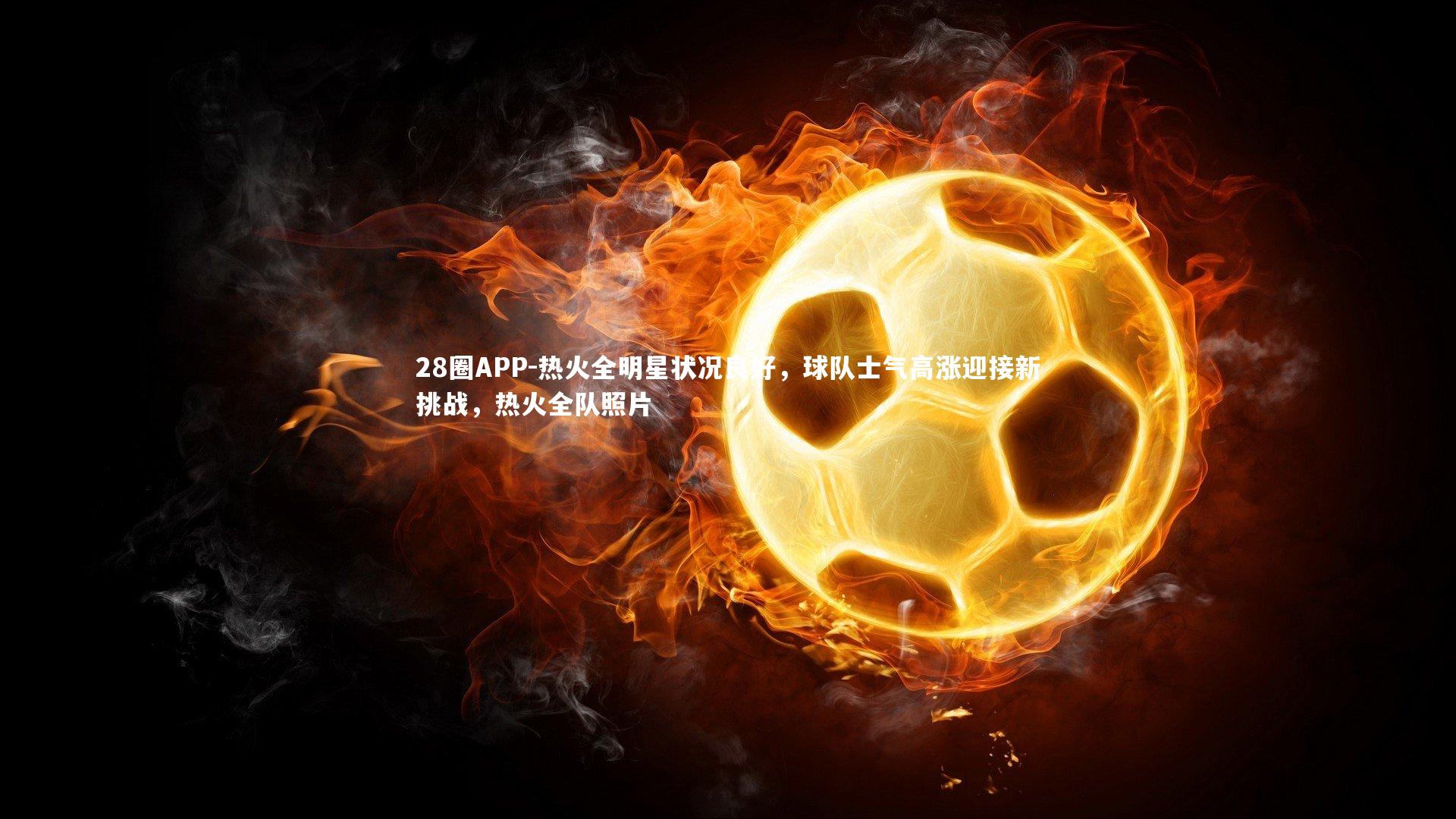 28圈APP-热火全明星状况良好，球队士气高涨迎接新挑战，热火全队照片