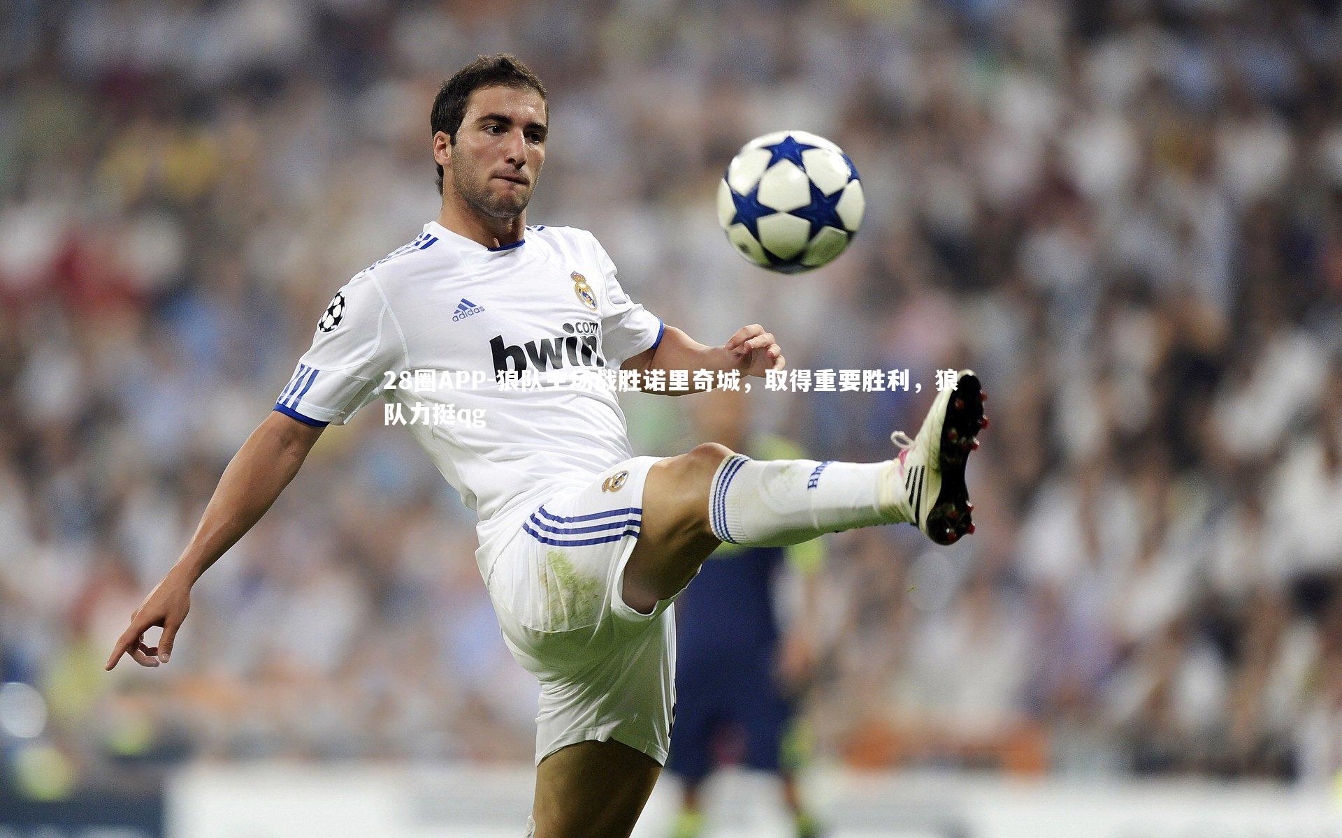 28圈APP-狼队主场战胜诺里奇城，取得重要胜利，狼队力挺qg