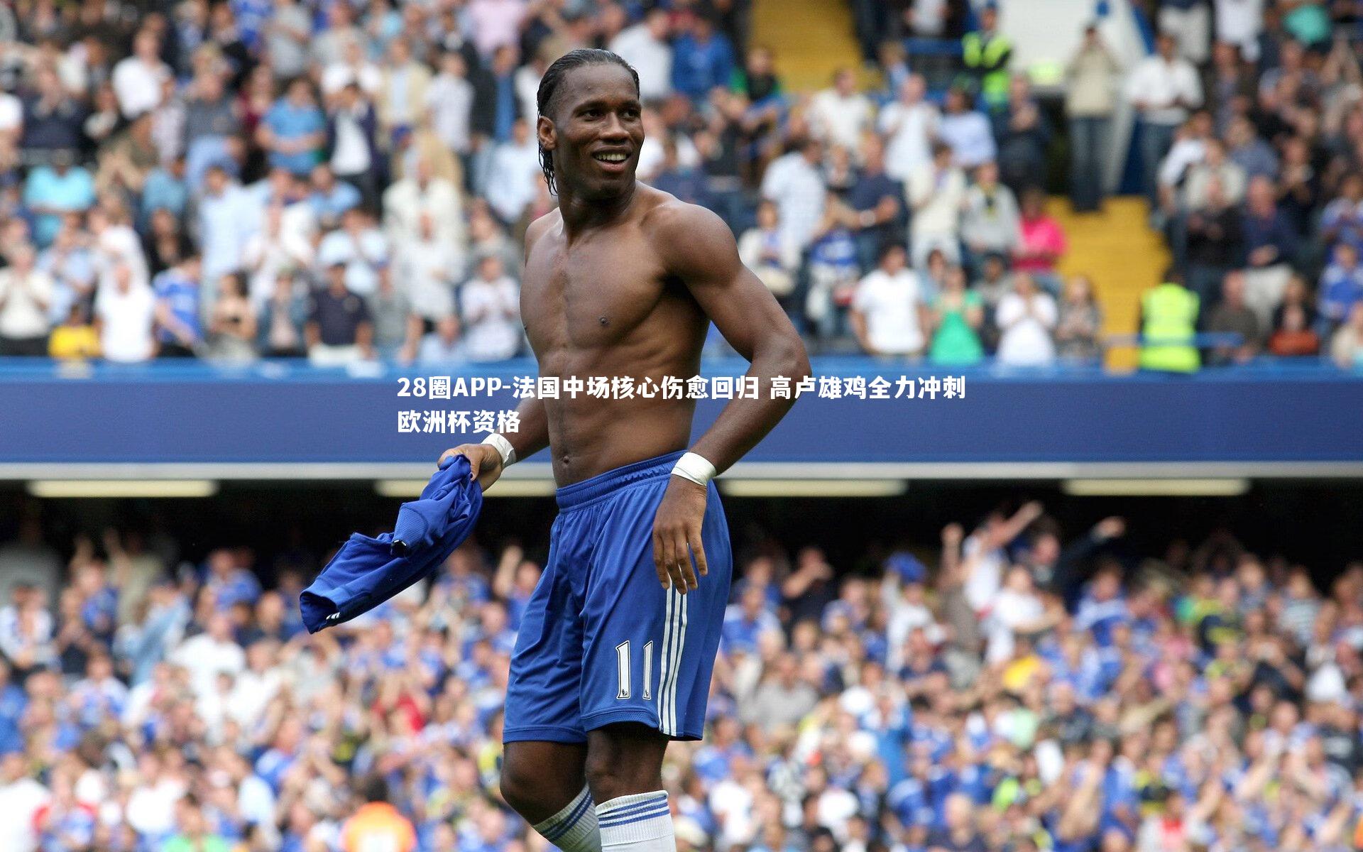 法国中场核心伤愈回归 高卢雄鸡全力冲刺欧洲杯资格